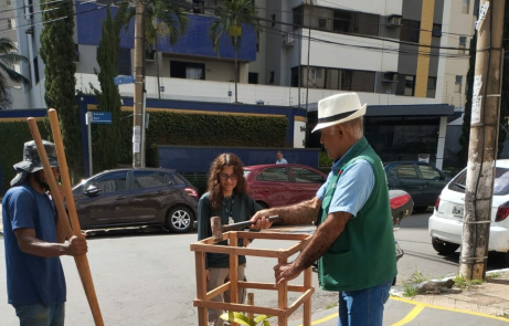 Programa Goiânia + Verde facilita plantio de árvores em calçadas